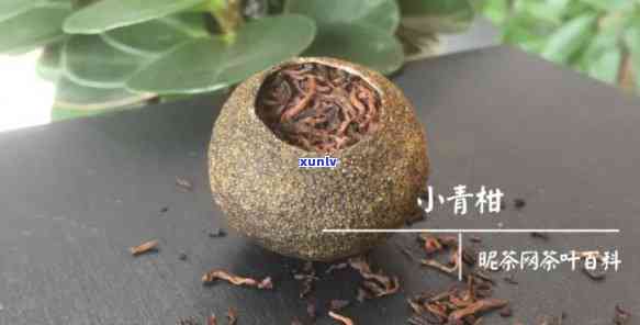 小青柑是哪里产的茶-小青柑是哪里产的茶叶