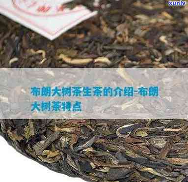 布朗大树生茶的特点-布朗大树生茶的特点是什么