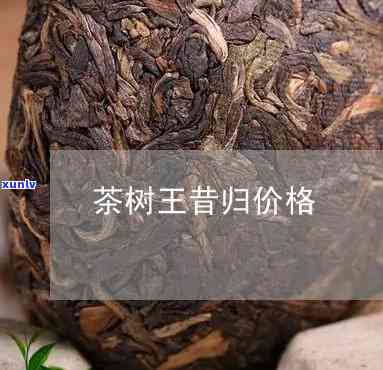 茶王寨老茶山之昔归-茶王寨普洱茶昔归价格