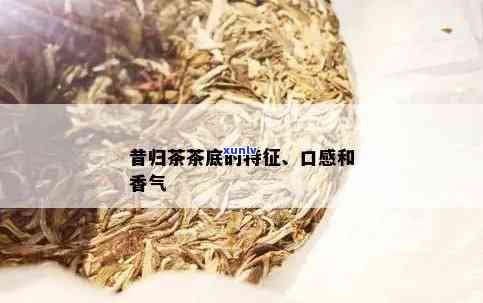 昔归茶底是什么样子-昔归茶叶底