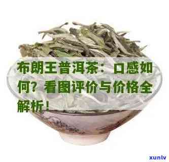 布朗王普洱茶价格357克：2007年与2019年的对比分析