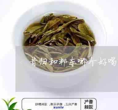 昔归和亿邦茶哪个好-昔归和邦东