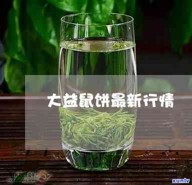 大益鼠饼行情：最新行情网信息