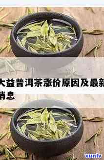 大益猫沱茶涨价情况全解析