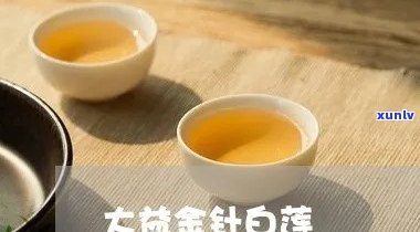 大益柔侠和金针白莲，大益柔侠与金针白莲：一场茶文化的宴