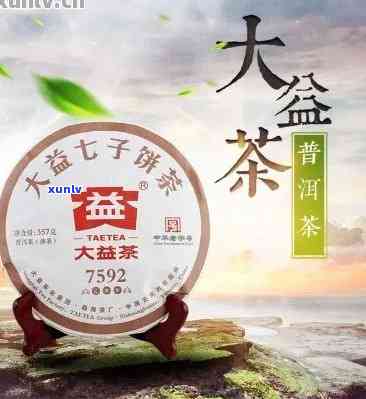 一团春意大益茶前景，春意盎然：大益茶的前景展望