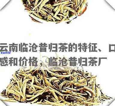 澜沧江边昔归茶价格-澜沧昔归熟茶