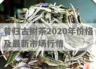 昔归古树茶的特点口感及2020年价格分析