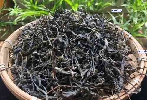 昔归古树茶的特点口感及2020年价格分析