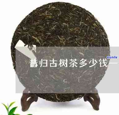 昔归古树茶价格及特点口感全解析，一饼多少钱？