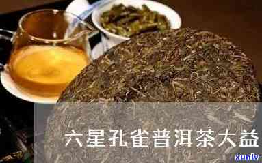 六星雀普洱茶大益，品味尊贵：六星雀普洱茶大益，为您带来独特的口感体验！