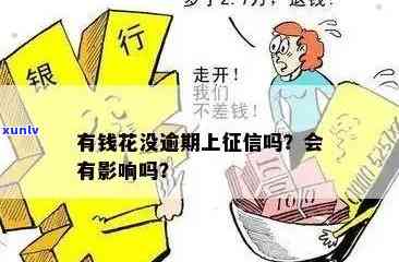 从出生到老年：探索人生的各个阶，如何活得更像一款普洱茶？