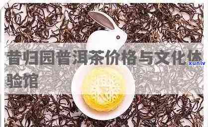 昔归园茶文化生活体验馆：探索普洱茶世界的价格与历