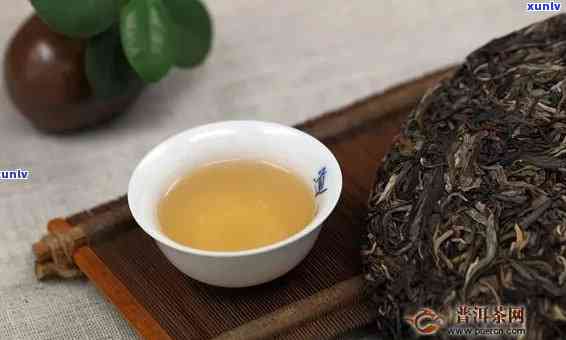 昔归园普洱茶，品尝历与韵味：探索昔归园普洱茶的世界