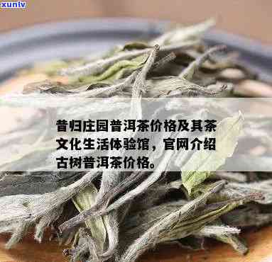 昔归园昔归紧压茶：官网与茶文化生活体验馆一探究竟