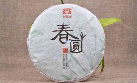 大益茶春圆，品味春天的味道：探索大益茶春圆的魅力