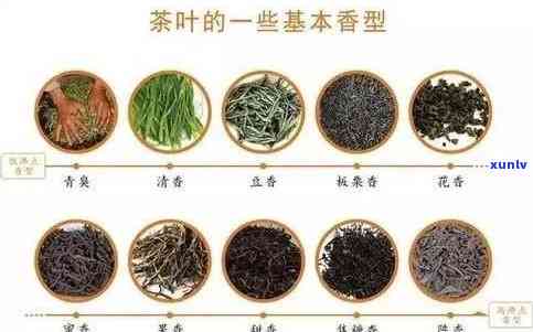 大益的大部分茶品由哪三部分组成？详解茶叶构成