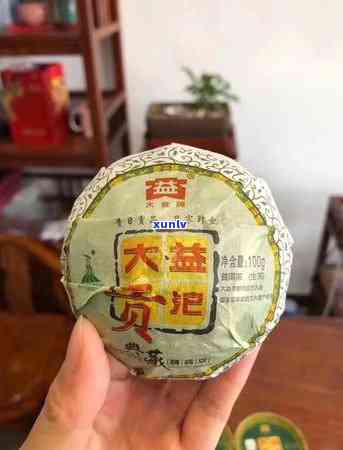 大益甲级沱茶2010，品味历，感受经典：大益甲级沱茶2010的魅力