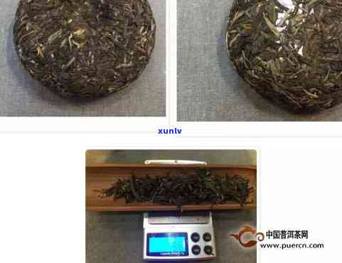 大益茶千羽雀1801，探索云南特色：品尝大益茶千羽雀1801的香气与口感