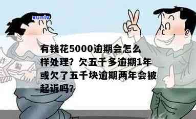 有钱花逾期5000半年，被起诉，应怎样解决？