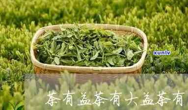 茶有益茶有大益图片-茶有益茶有大益是啥意思