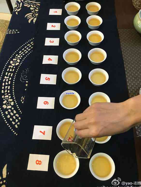 大益茶怡品2013价格是多少？详细解析