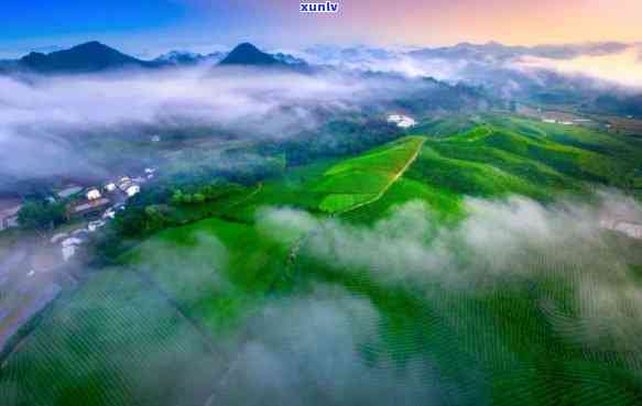 天下茶乡，探索中国茶文化的魅力：天下茶乡之旅