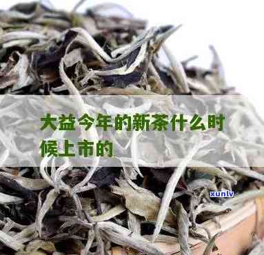 大益多久出一次新品-大益每年什么时候出新茶