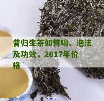 如何泡出美味昔归茶？详细泡法及评价分享