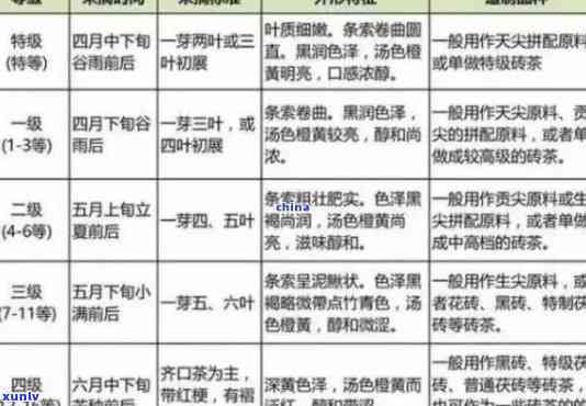 大益经销商级别划分及标准一览表