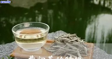 昔归茶的特点与功效，探索昔归茶的独特特点及其神奇功效