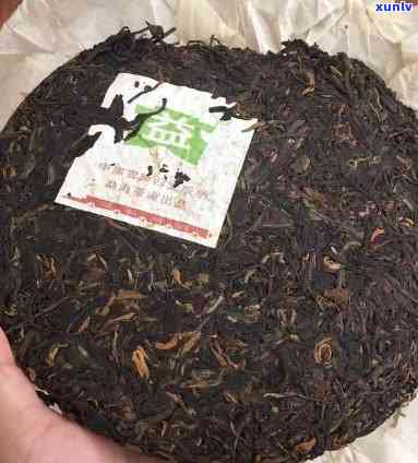 602勐海雀大益茶，品味云南风情：尝试602勐海雀大益茶