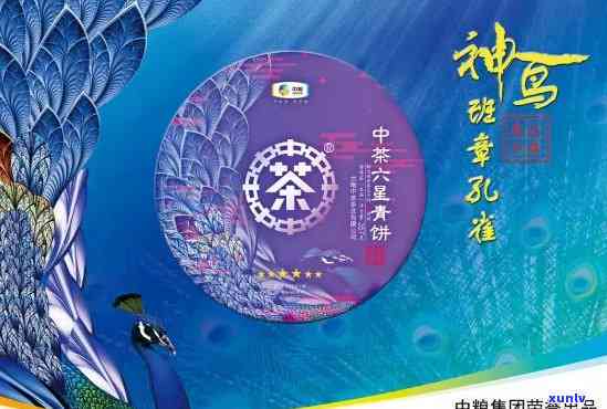 2008年大益五彩雀官方网站，探索2008年大益五彩雀官网：了解普洱茶的精彩世界！