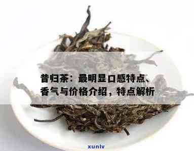 昔归茶最明显的口感特点，探秘昔归茶的独特口感：最明显的特征解析