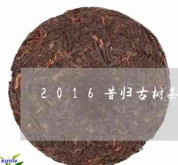 昔归06年老茶特点-2016昔归茶简介价格