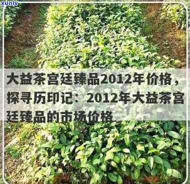 大益茶宫廷臻品2012年价格是多少？