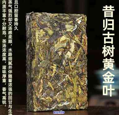 金芽饼茶与昔归茶砖-金芽饼茶与昔归茶砖的区别