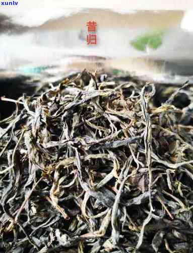 昔归古树散茶的工艺-昔归古树茶散茶