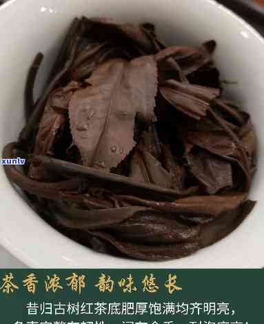 昔归古树红是什么茶-昔归古树红茶百度百科