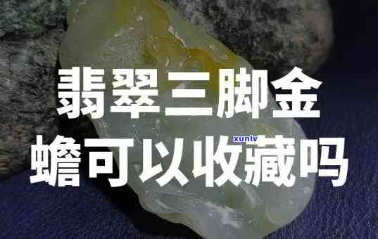 三脚金蟾翡翠女生怎么带，如何佩戴三脚金蟾翡翠饰品？