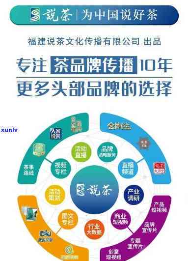 大益茶数字，探究大益茶的数字化转型：从传统到现代的转变