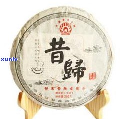 昔归古树茶：冲泡 *** 与功效全解析