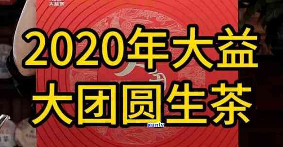 大益大团圆品鉴：2020新品体验分享