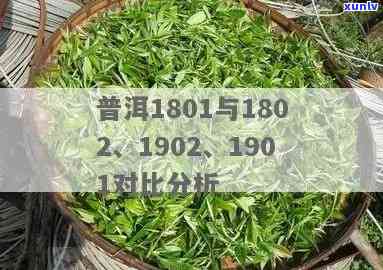 大益茶1902批次与1801批次、1901批次的区别是什么？