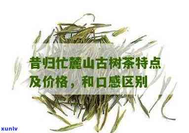 忙麓山昔归是什么茶-忙麓山昔归价格