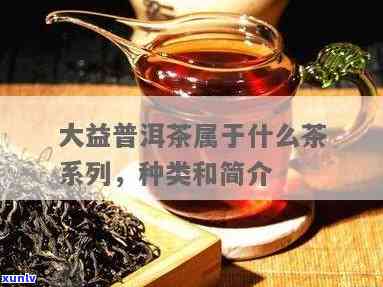 大益茶由哪些茶叶组成？详细解析