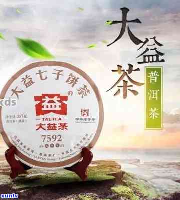 大益茶有什么茶组成-大益茶有什么茶组成的