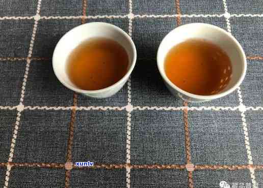 03年大益红丝带沱茶青：价格与特点全解析