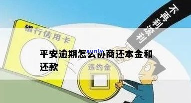 老班章普洱200克及相关价格