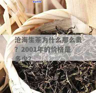 大益茶沧海2001现市场价，最新市场价：大益茶沧海2001多少钱？